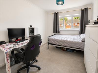 Picture 15